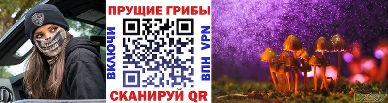 ссылка на мегу как зайти  нарко площадка состав  Галлюциногенные грибы MAGIC MUSHROOMS  Дмитровск 