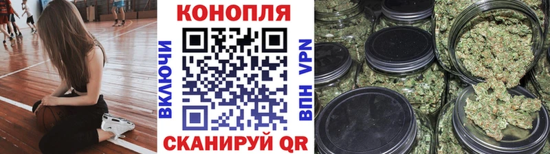 как найти   Дмитровск  Бошки Шишки марихуана 